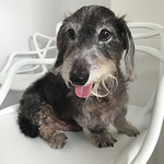 Profile Picture of Wan Lai Lee (@wanlai2001) on Flickr