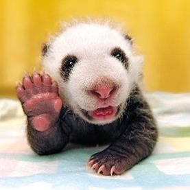 Peter Leitch - Facebook Profile Picture of Peter Leitch (@peter.leitch.18) on Facebook