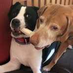 Profile Picture of Fred Hoeffner (@Fred-Hoeffner) on Facebook