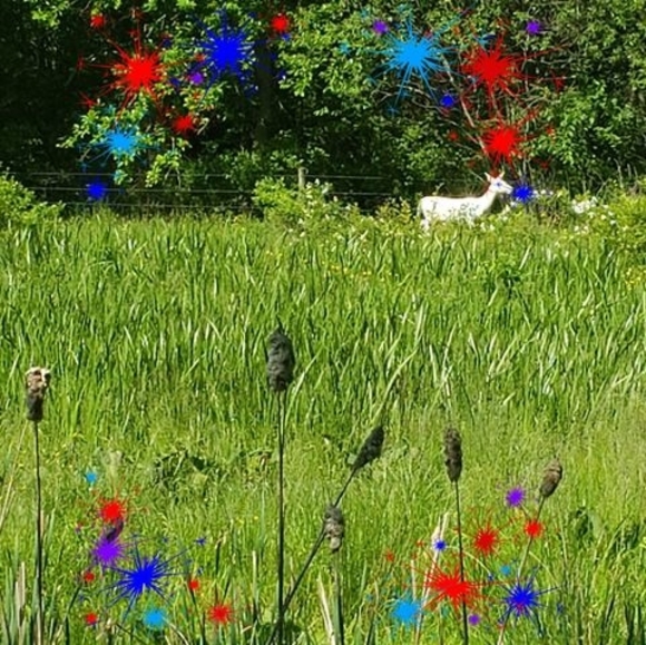 Profile Picture of Doris Burd (@ladyburd710) on Poshmark