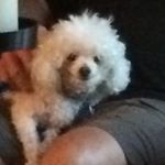 Profile Picture of Wayne Schumaker (@thegrandpaa) on Instagram