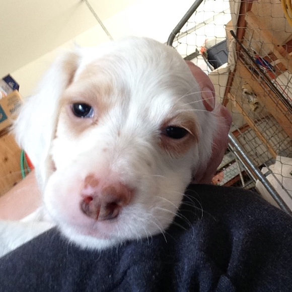 Profile Picture of Tracy Iseminger (@isemingerrdh) on Poshmark