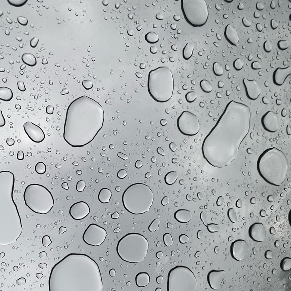 Tj Olsen - Poshmark Profile Picture of Tj Olsen (@tjolsen421) on Poshmark