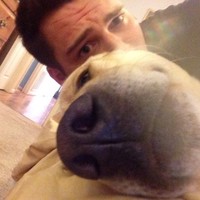 Profile Picture of Drew Reynolds (@drew-reynolds-14) on Quora