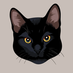 Profile Picture of Robert JSacer (@Robert-J-Sacer) on Facebook