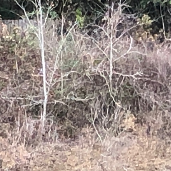 Profile Picture of Delete Delete (@tnph213) on Poshmark