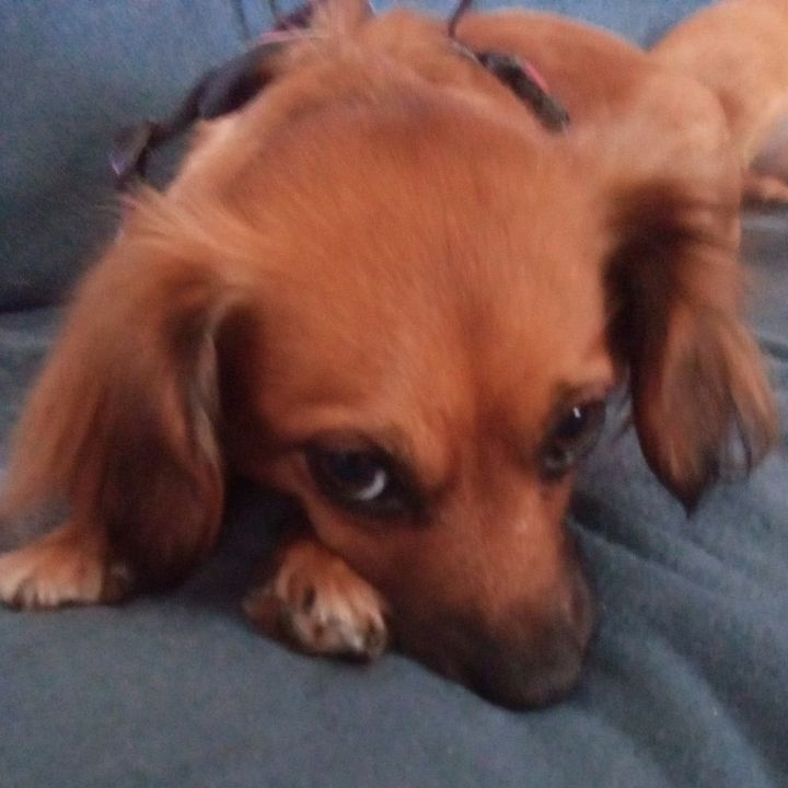 Profile Picture of Lisa Hedrick (@granny5071) on Tiktok