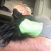 Profile Picture of Scott B Rodenbaugh (@scott.b.rodenbaugh) on Facebook