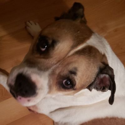 Profile Picture of Mark Ricks (@MarkRic64548057) on Twitter