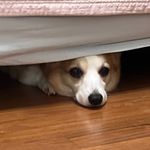 Profile Picture of 브로문 (@brianjmoon) on Instagram