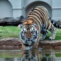 Profile Picture of Craig Pierce Jr (@craig-pierce-jr) on Quora