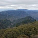 Profile Picture of Cory Tallent (@govols37803) on Instagram