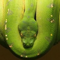 Profile Picture of David Darsow (@david-darsow) on Quora