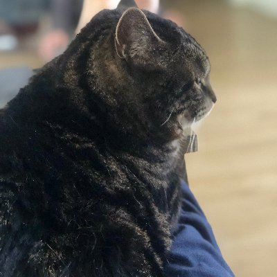 Profile Picture of Chris Embry (@TheChrisEmbry) on Twitter