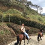 Profile Picture of Michael Galland (@michael.galland) on Instagram