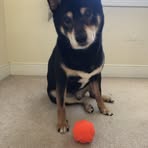 Profile Picture of Grant Pat (@Grant-Pat) on Facebook