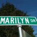 Profile Picture of Marilyn Francois (@mfrancois205) on Pinterest