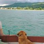 Profile Picture of Goran Cvetkovski (@goran_cvetkovski) on Instagram