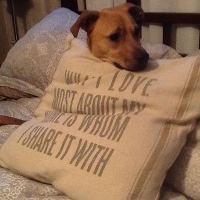 Jocelyn Schneider - Twitter Profile Picture of Jocelyn Schneider (@jocelyn_jkudler) on Twitter