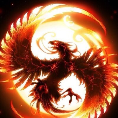 Profile Picture of Andy Carro (@carro_andy) on Twitter