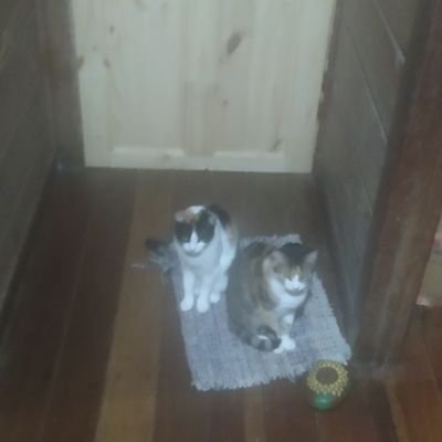 Profile Picture of Alejandro Retana (@Alejand92306153) on Twitter