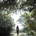 Profile Picture of Jessica Albertyn (@jessicaalbertyn) on Pinterest