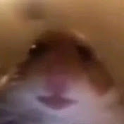 Profile Picture of  David Popik (@DavidPopik-m6p) on Youtube