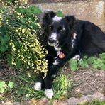 Profile Picture of Laurence Birenbaum (@lou.loulou.946517) on Facebook