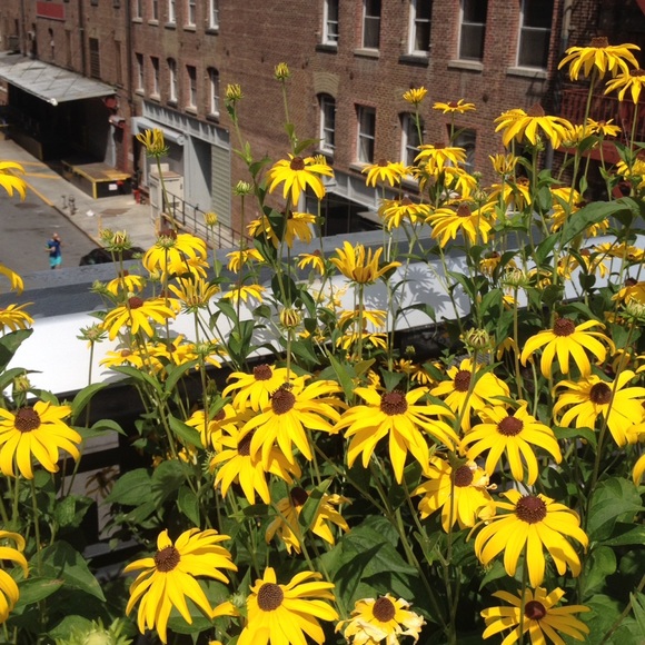 Profile Picture of Lydia Anshus (@rice_and_beans) on Poshmark