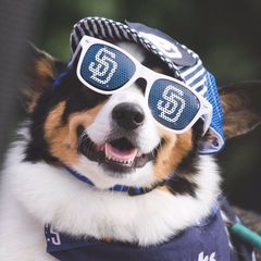 Profile Picture of Jameson Scott Catlet (@jamesonscottcatlett) on Tiktok