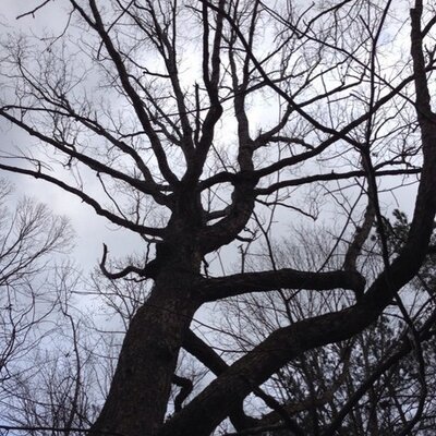 Profile Picture of Cindy Varnell (@CindyVarnell) on Twitter