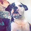 Profile Picture of Sam Mcgee (@@sammcgee420) on Tiktok