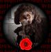 Profile Picture of Neil Healey (@neil.healey.5851127) on Facebook