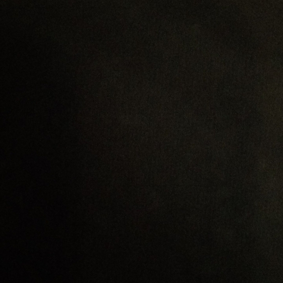 Profile Picture of Manny Puzo (@omoeghie) on Poshmark