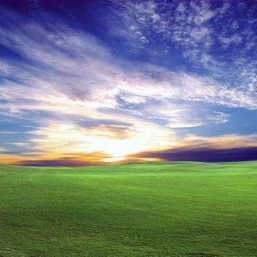 Profile Picture of Larry Northrup (@LarryNorthrup) on Twitter