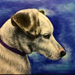 Profile Picture of Darren McPherson (@mcphersondarren) on Instagram