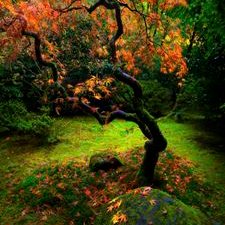 Profile Picture of Adam Dallas (@DallasAdam) on Twitter