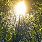 Profile Picture of ryan grauel (@naturephotographyyy) on Instagram