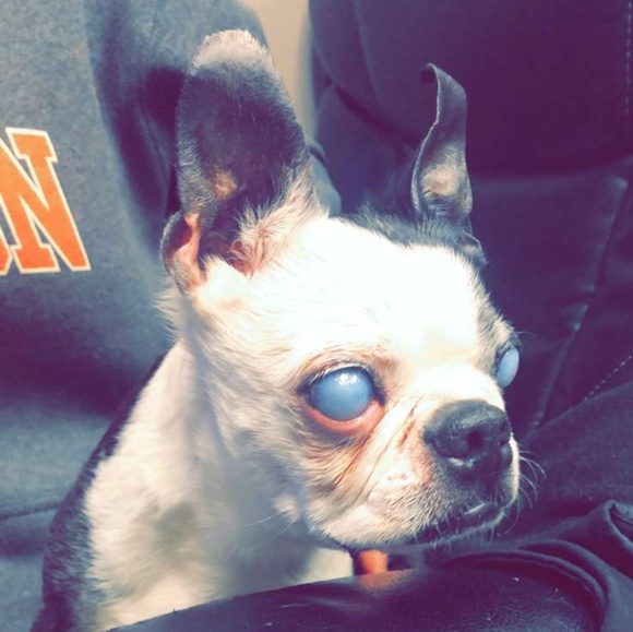 Profile Picture of Clint Sletten (@slettentattoo) on Poshmark