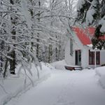 Profile Picture of Marie-Claude Audet (@audetmarieclaude) on Instagram