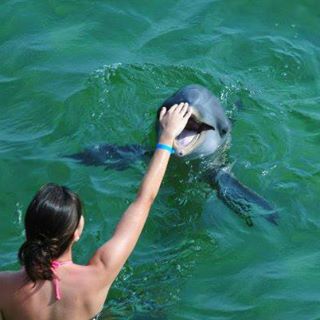 Profile Picture of Pamela Carrillo (@pamela.carrillo.319) on Facebook