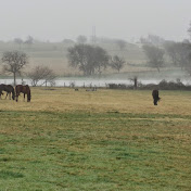 Profile Picture of Leah Glenn (@leahglenn6604) on Youtube