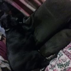 Profile Picture of Sarah Shuler (@SarahShuler4) on Twitter