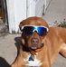 Profile Picture of Chuck Hays (@charles.hays.904) on Facebook