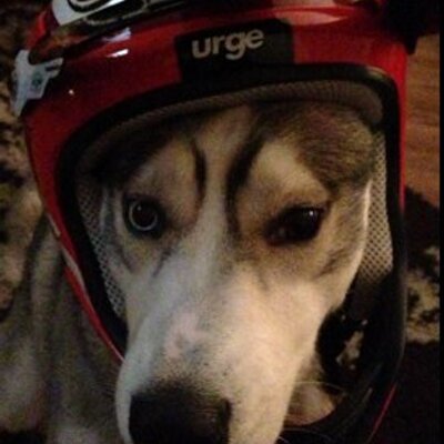 Reece Kyle Hallam - Twitter Profile Picture of Reece Kyle Hallam (@reecekyleh) on Twitter