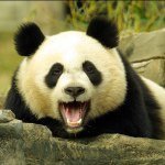 Profile Picture of Jack Lawrence (@mrminge_is_poffy) on Instagram