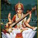 Profile Picture of Rosy Sachdeva (@ravisachdeva07) on Pinterest