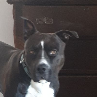 Profile Picture of Matt Warman (@MattWarman3) on Twitter