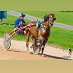 Profile Picture of Bryan Fontaine (@bryan.fontaine.90) on Instagram