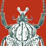 Profile Picture of Bethany Pearson (@adventuresinecology) on Instagram